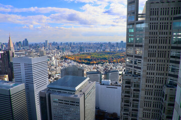 東京都庁からの眺望・都市風景（東京都・新宿区）