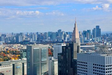 東京都庁からの眺望・都市風景（東京都・新宿区）