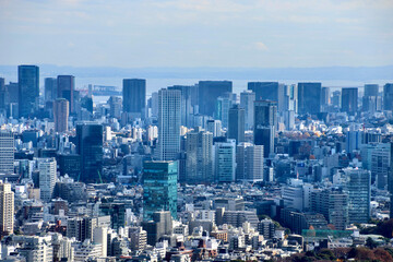 東京都庁からの眺望・都市風景（東京都・新宿区）