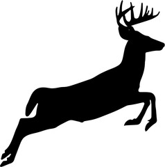 Silhoutte of a the deer jumps