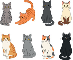 Collection of cute cartoon cat characters featuring various breeds and colors like tabby ginger black grey and calico sitting and stretching isolated on white background.