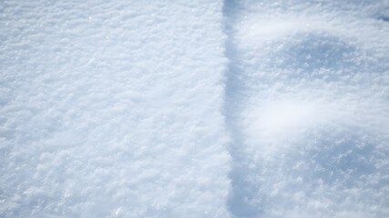 Obraz premium Snowy footprint