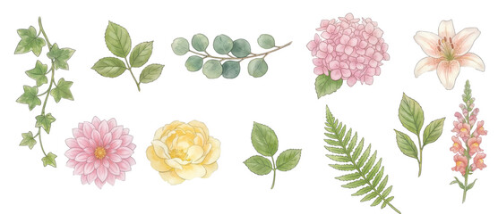 watercolor floral clipart collection png, isolated on solid white background.