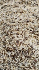 close up of rice
