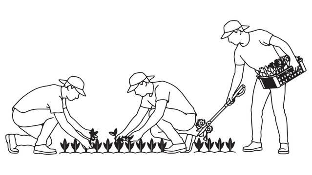 A group of rural farmer men and agriculture worker team are planting a vegetable crop harvest in a farm field garden during the spring season in this nature countryside sketch drawing.