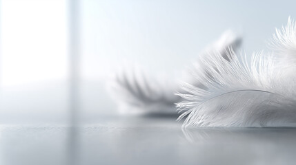 Obraz premium Delicate white feathers floating on a bright minimalist background symbolizing softness and purity. 