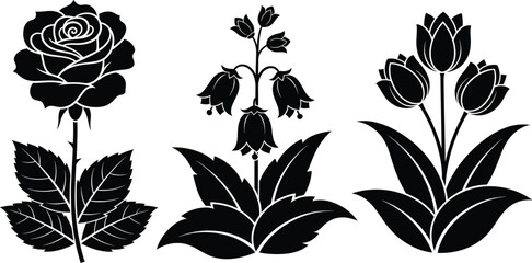 Fototapeta premium Black floral silhouette vector illustration featuring rose, bellflower, and tulip designs with detailed leaves perfect for botanical decorative artwork