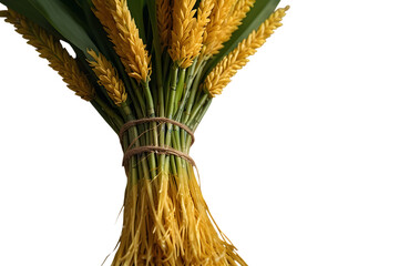 A close-up view of golden wheat stalks bundled together, showcasing agricultural bounty isolated on transparent background