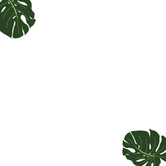 frame of green leaves