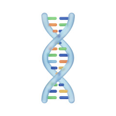 DNA Double Helix Structure Illustration.