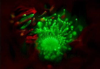 アブストラクト