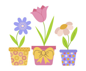 Colorful Potted Flowers Vector Illustration on White