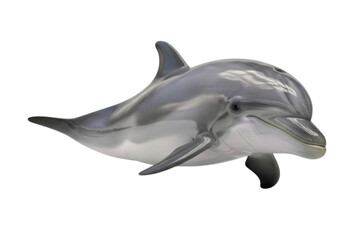Fototapeta premium Dolphin Swimming, Isolated, Cutout, Transparent PNG