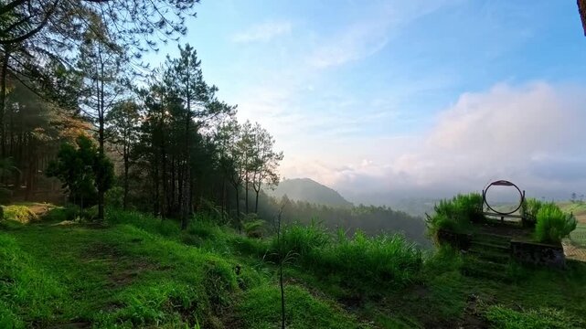 Cloud timelapse over a valley at Kanaga Hill with pine trees. Ideal for nature and travel themes