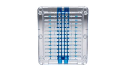 Gel Electrophoresis Sample Loading