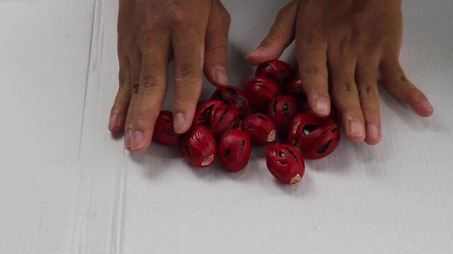 A close-up shot of hands carefully placing and organizing a pile of fresh nutmeg seeds with vibrant red mace on a clean white background.