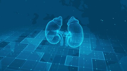 Futuristic Digital Human Kidneys Anatomy with Medical Data Interface