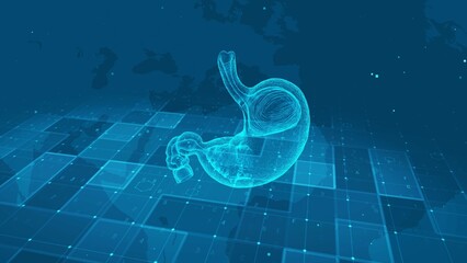 Futuristic Digital Human Stomach Anatomy with Medical Data Interface