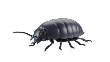 3D A dark grey woodlouse insect transparent background