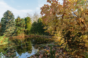 Serene autumn pond surrounded by trees with golden-brown leaves reflects in calm water, while fallen leaves cover rocky ground and water&rsquo;s edge. Nature concept for design.