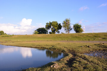 Wetland pond with blue sky reflection