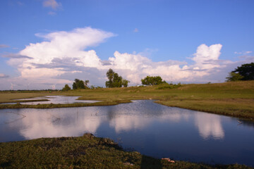 Obraz premium Wetland pond with blue sky reflection