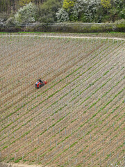 Vineyard red row cultivator aerial view, agriculture concept