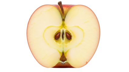Red Apple Cut in Half Showing Seeds and Core isolated PNG with Transparent Background