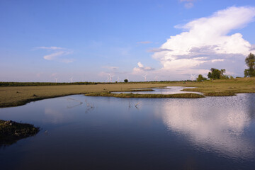 Fototapeta premium Wetland pond with blue sky reflection