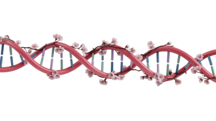 DNA Strand with Cherry Blossoms