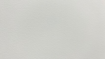 white background. white texture. white background texture. white backgrounds