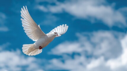 Obraz premium Peaceful white dove gliding beneath a bright azure sky and fluffy clouds