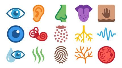 A collection of icons representing the five senses and related biological and neurological concepts.