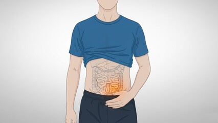 A man torso with highlighted digestive tract and pain point showing gut health focus and Stool formation concept