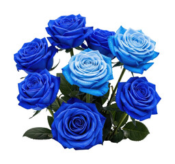 Vibrant blue roses bouquet floral arrangement lighting isolated on transparent background