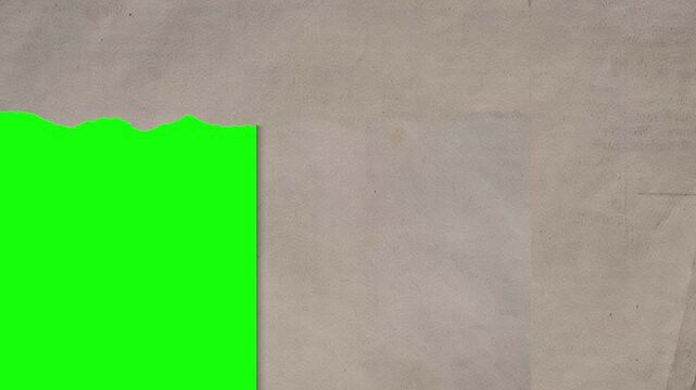 Torn paper corner reveal on gray textured background green screen torn paper, green screen, ripped corner, gray paper texture, paper reveal, chroma key, frame overlay, placeholder, template, transitio