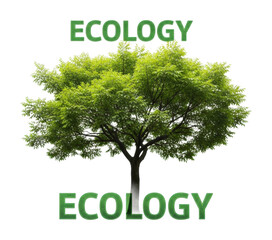 Tree imagery a graphic approach to ecology awareness education isolated on transparent background