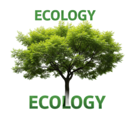 Tree imagery a graphic approach to ecology awareness education isolated on transparent background