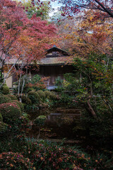 京都府大原寂光院落葉の声を聴く庭