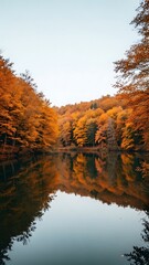 Autumn Forest Reflection in Calm Lake Nature Scene