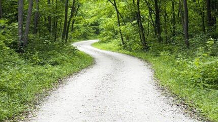 Fototapeta premium A winding gravel path through a lush green forest.