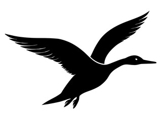 Obraz premium Flying loon bird silhouette vector,loon bird symbol,loon bird graphic