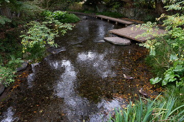 散策が楽しい源兵衛川の遊歩道