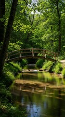 Serene Forest Pathway Wooden Bridge Over Calm River