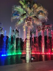 Al Shaheed Park Kuwait City 