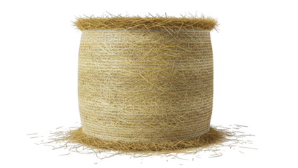 Cylindrical bale of dry straw with loose straw scattered around on black background agriculture farm