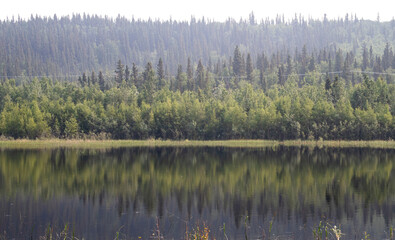 Fototapeta premium Green trees across Bolio Lake in Alaska