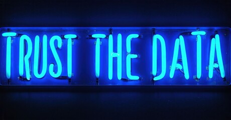Bright neon sign displays text Trust Data. Dark background emphasizes glowing blue illumination. Simple message, modern aesthetic.