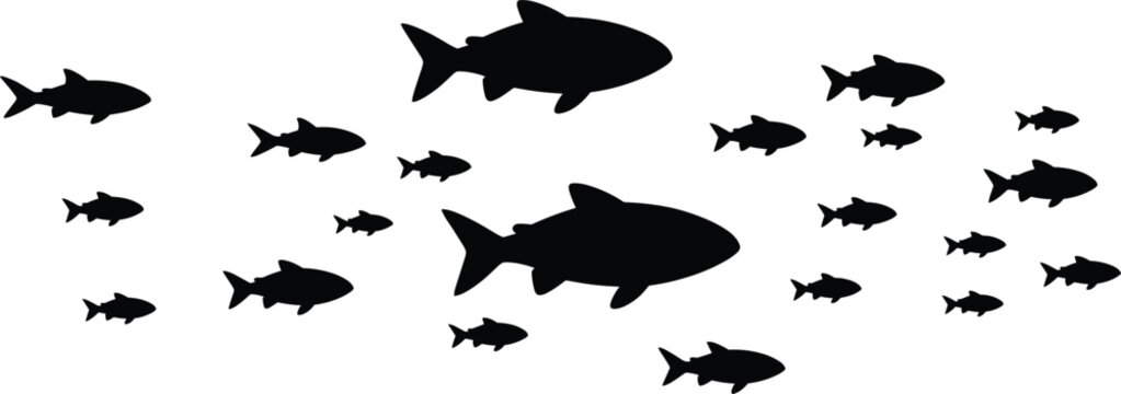 Fish school silhouette vector illustration with big and small fishes swimming isolated for marine ocean and nature design
