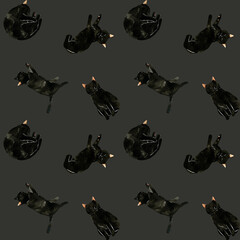 猫, 白黒, 白黒猫, ハチワレ, ハチワレ猫, 水彩, イラスト, 手描き, 水彩イラスト, シームレス, パターン, ねこ, ネコ, 手書き, ペット, 動物, 生き物, 生物, かわいい, カワイイ, 可愛い, アニマル, 素材, 透明水彩, 全身, 猫カフェ, 哺乳類, ネコ科, シンプル, ポーズ, 背景, 背景素材, バックグラウンド, シームレスパターン, テキスタイル, 繰り返し,